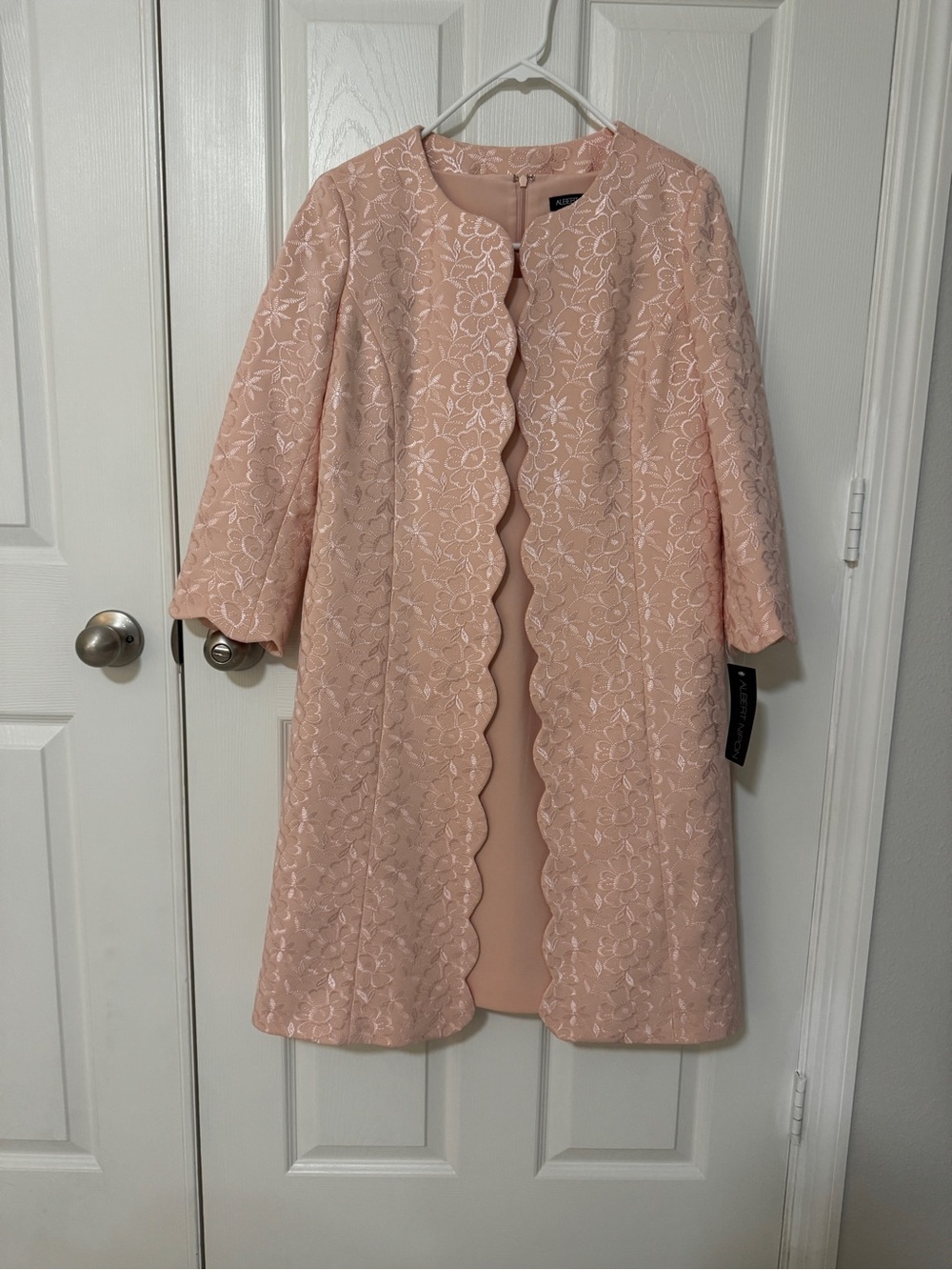 Albert Nipon Blush Pink Dress Set Sz 6, NWT